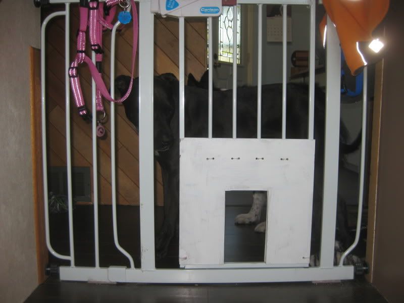 Any Pet Gate Suggestions? Rabbits Online Pet Rabbit & Bunny Forum